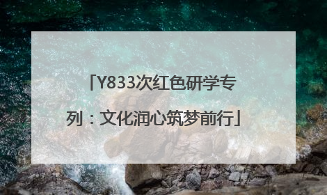 Y833次红色研学专列：文化润心筑梦前行